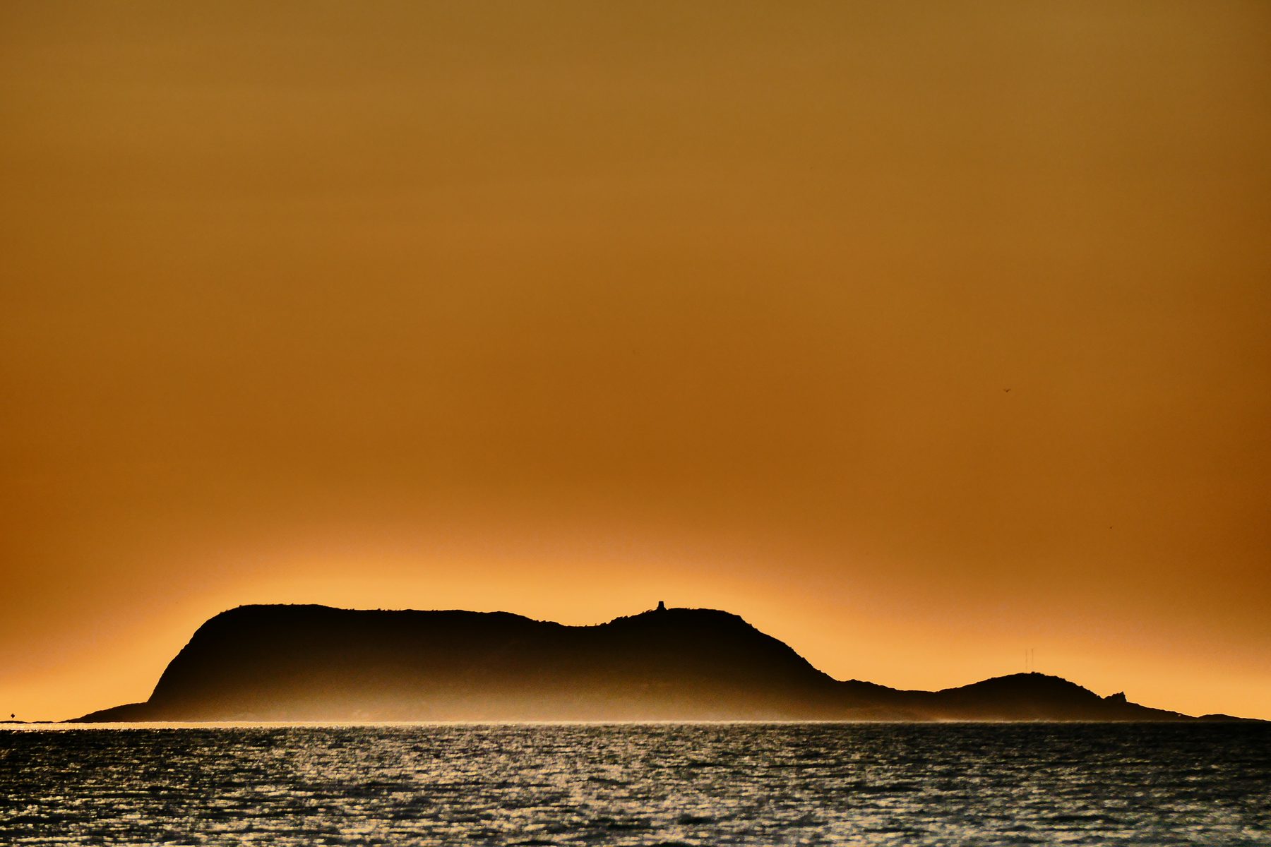 Golden island