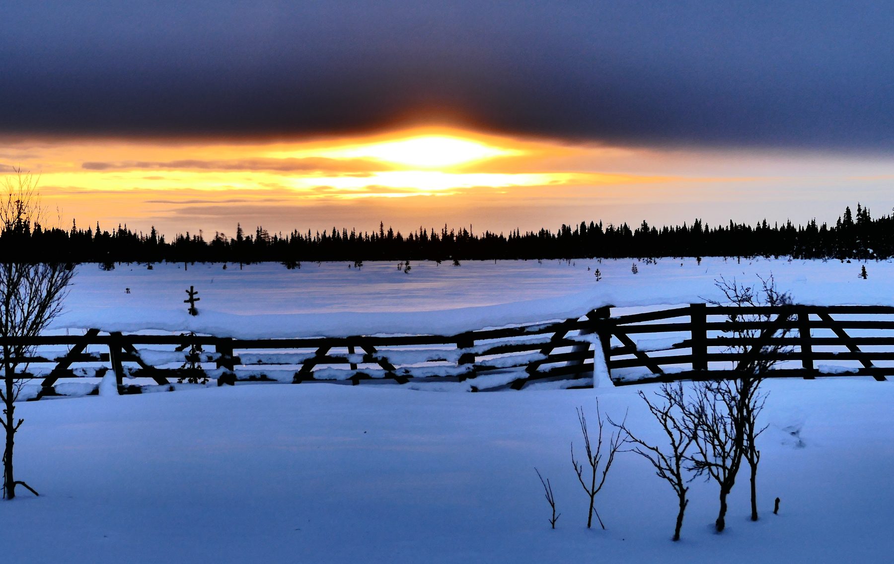 Winter sun