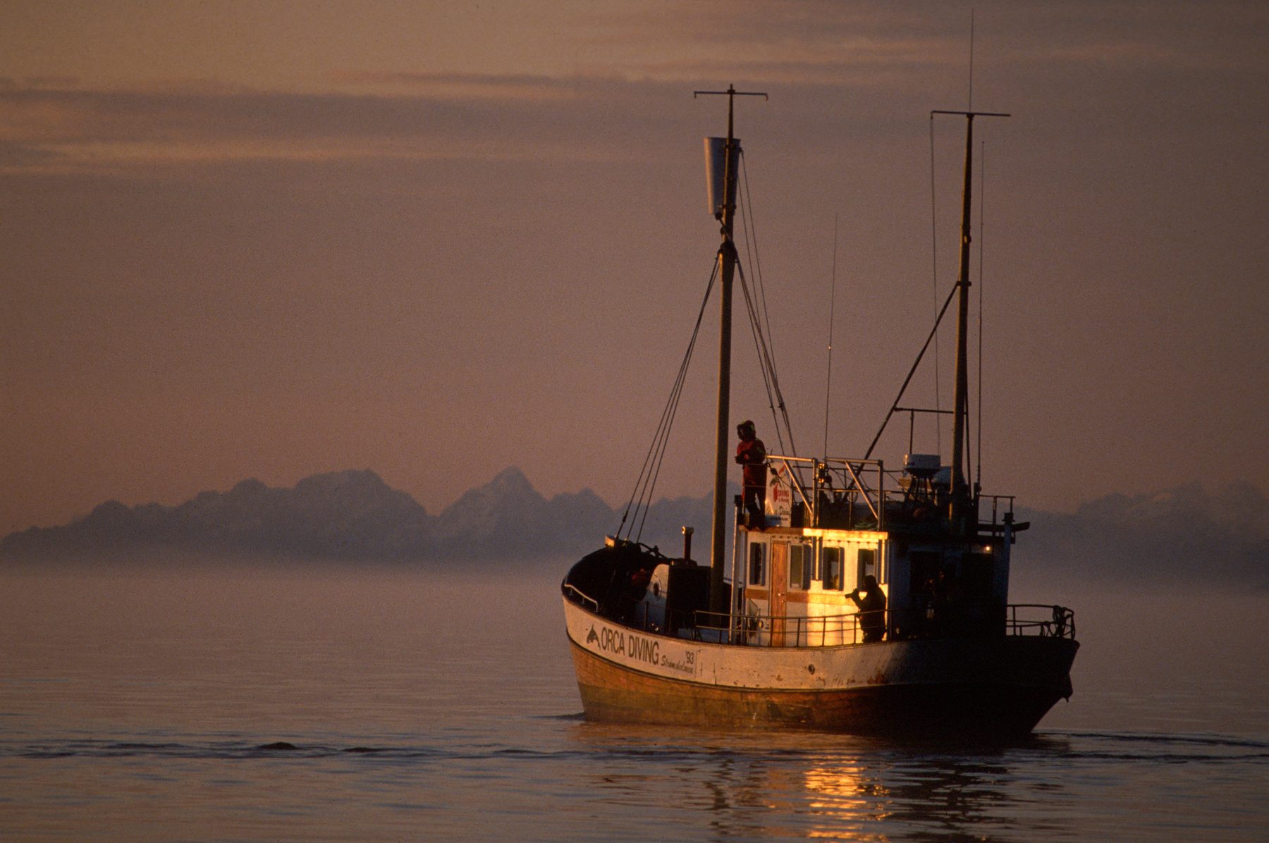 Evening boat