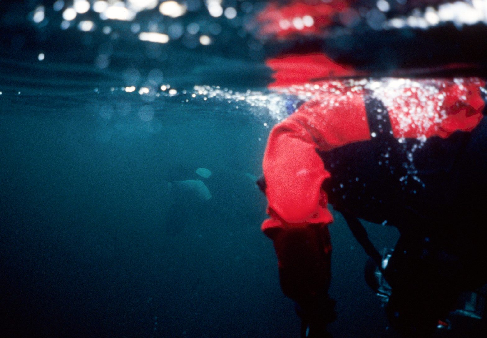 Diving with killer whales